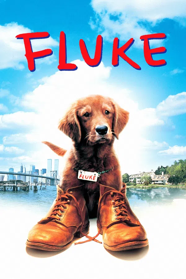 Poster phim Chú Chó Fluke trên Phim Mới