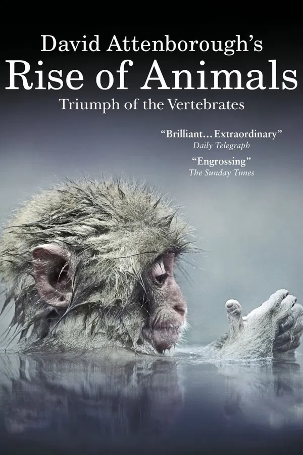 Poster phim David Attenborough's Rise of Animals: Triumph of the Vertebrates trên Phim Mới