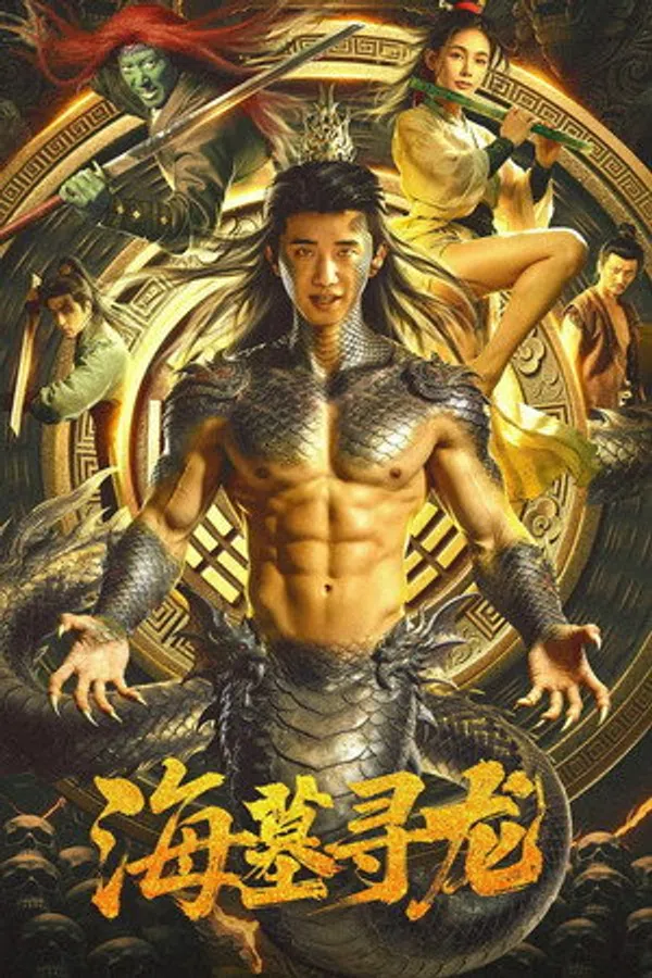 Poster phim Hải Mộ Tầm Long trên Phim Mới