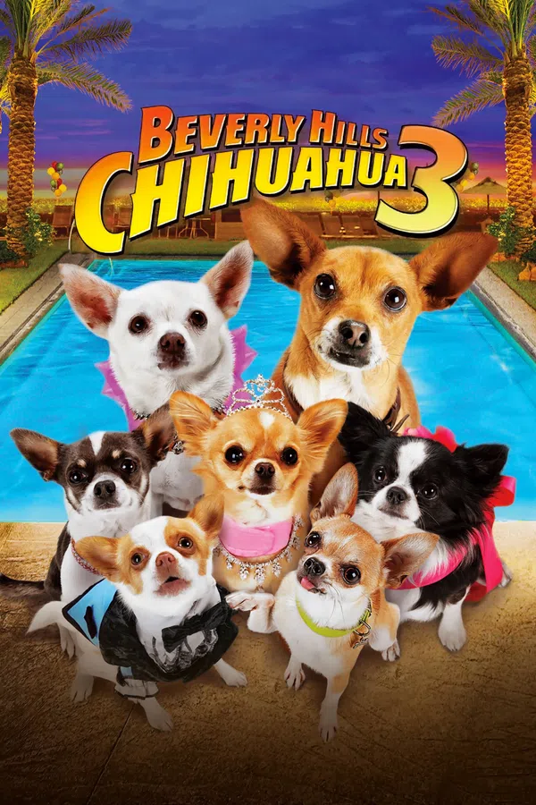 Poster phim Những Chú Chó Chihuahua 3 trên Phim Mới
