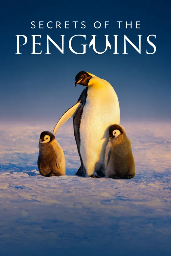 Poster phim Secrets of the Penguins trên Phim Mới