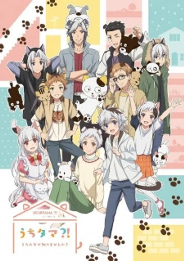 Poster phim Uchi Tama?! Uchi no Tama Shirimasen ka? trên Phim Mới